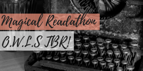 BOOK REVIEW - 2019-04-03T111358.945.png