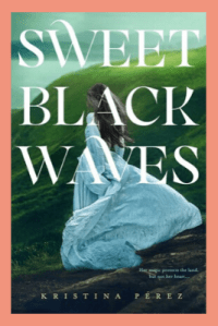 Copy of book cover (85)