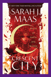 Copy of book cover - 2020-04-20T141526.866