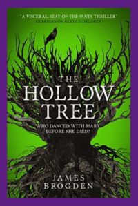 Copy of book cover (14)