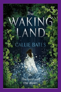 Copy of book cover (15)