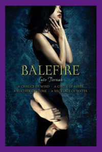 Copy of book cover (43)