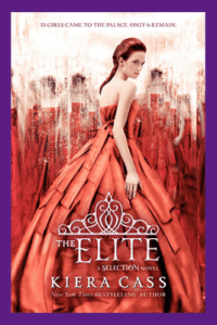 Copy of book cover (52)