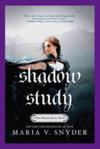 Copy of book cover (100)